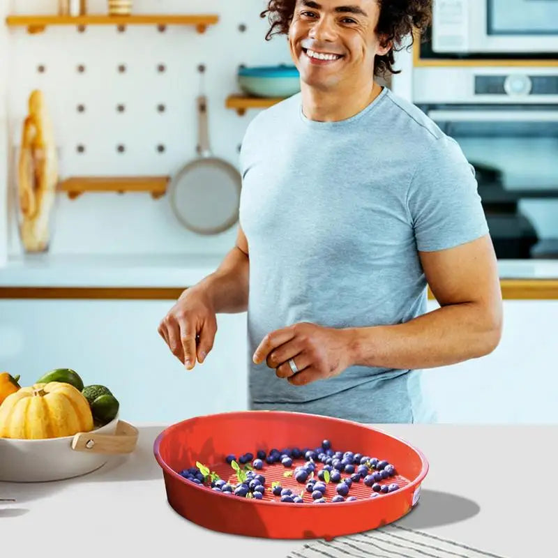 Blueberry Food Sieve /Colander