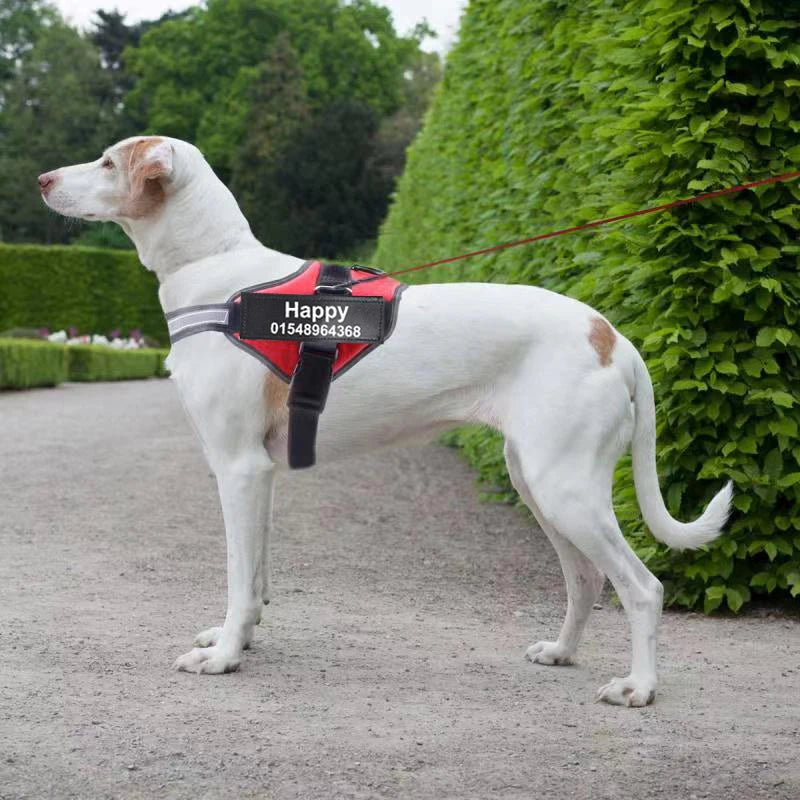 Reflective Breathable Adjustable Dog Harness