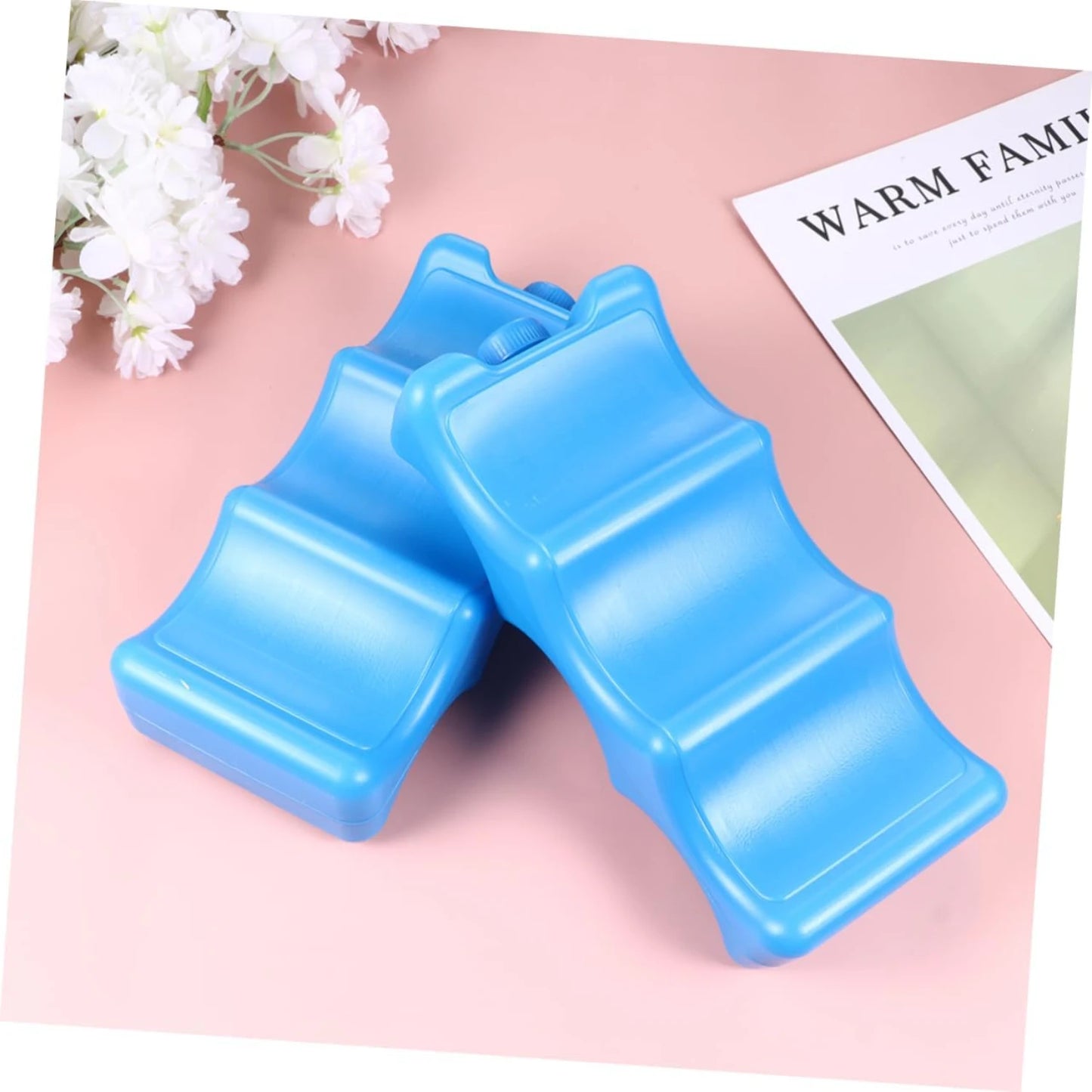 Pack of 2 Portable Ice Packs