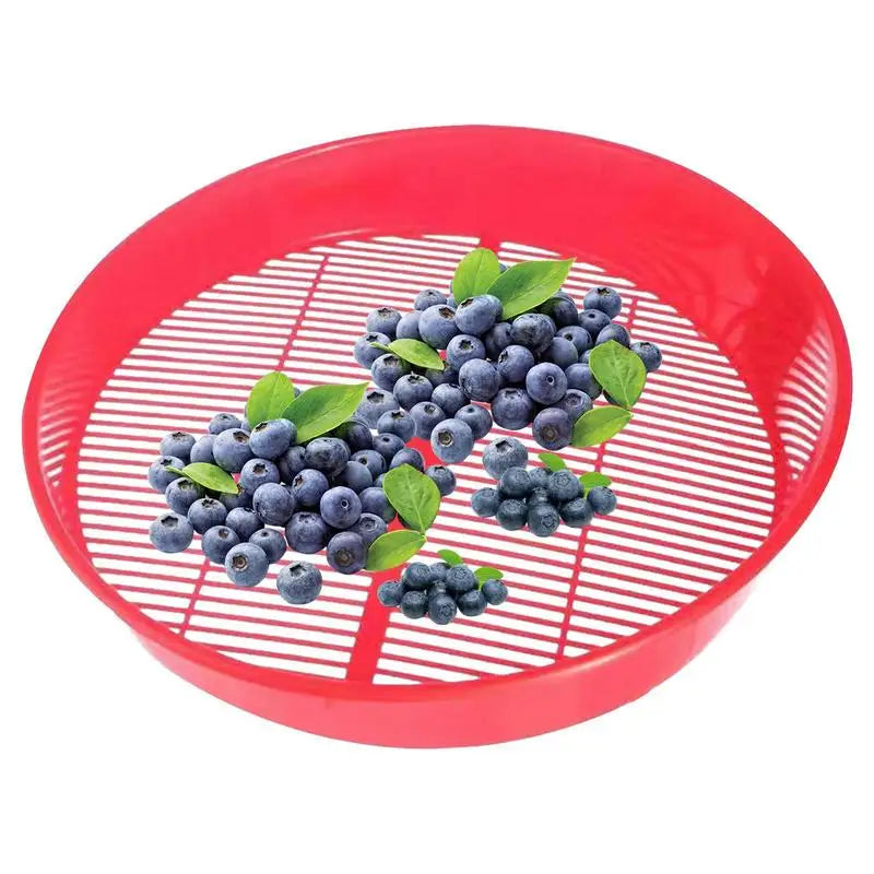 Blueberry Food Sieve /Colander