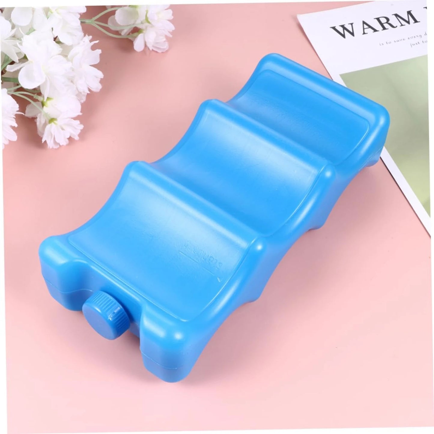 Pack of 2 Portable Ice Packs