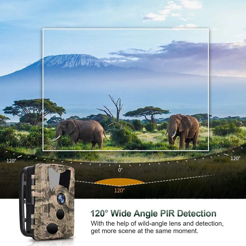 Outdoor Wildlife 20MP HD 1080P Trail Camera